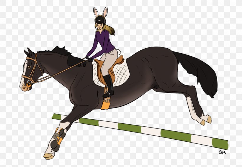 Hunt Seat Stallion Horse Rein Equitation, PNG, 1024x709px, Hunt Seat, Animal Sports, Animal Training, Bit, Bridle Download Free