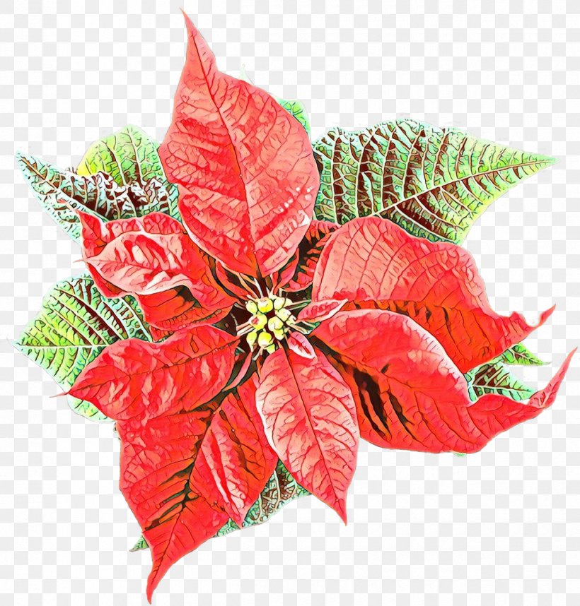 Poinsettia Flower Leaf Red Plant, PNG, 1250x1308px, Cartoon, Anthurium, Flower, Leaf, Perennial Plant Download Free