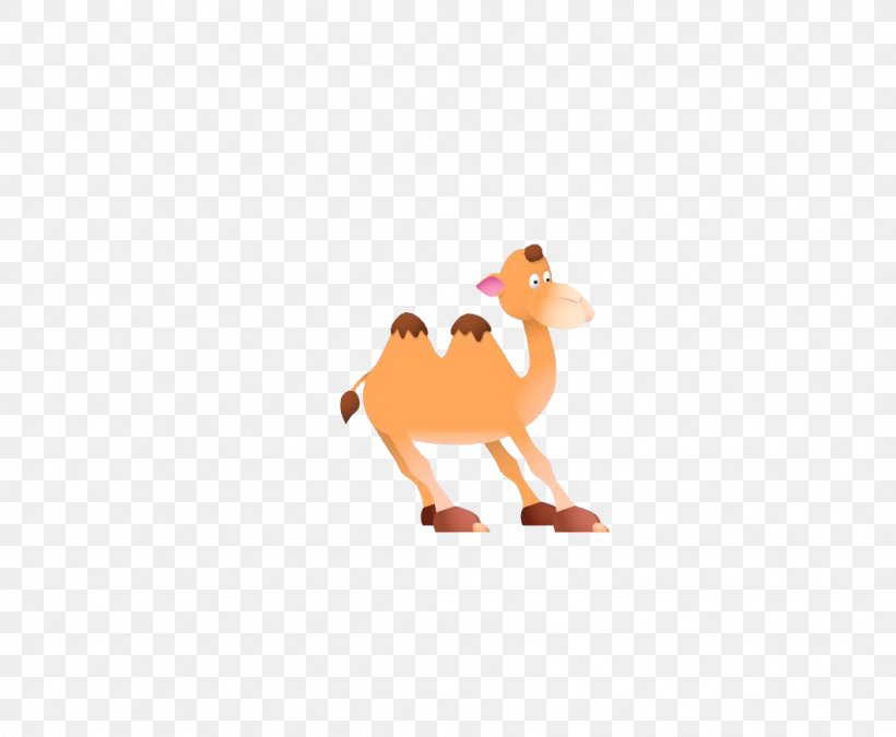 Camel Cartoon, PNG, 1059x873px, Camel, Beak, Bird, Carnivoran, Cartoon Download Free