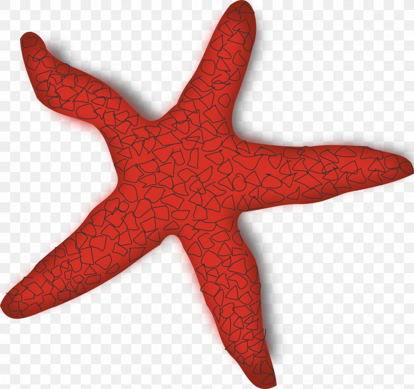 Mauritius Starfish Clip Art, PNG, 1979x1858px, Starfish, Art, Color, Drawing, Echinoderm Download Free