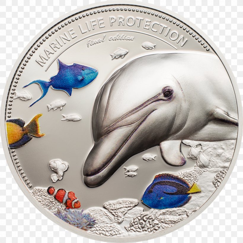 Silver Coin Palau Proof Coinage, PNG, 910x910px, Silver Coin, Beak, Bullion, Coin, Coin Set Download Free