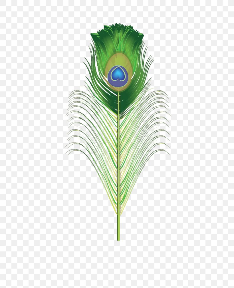 Feather Peafowl Clip Art, PNG, 415x1008px, Feather, Arecales, Illustrator, Leaf, Palm Tree Download Free