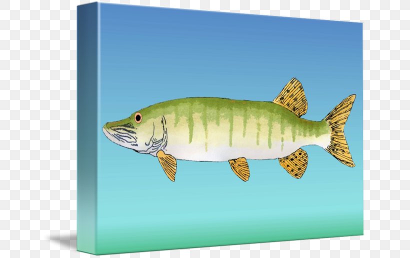 Sardine 09777 Ecosystem Fauna Salmon, PNG, 650x516px, Sardine, Biology, Bony Fish, Ecosystem, Fauna Download Free