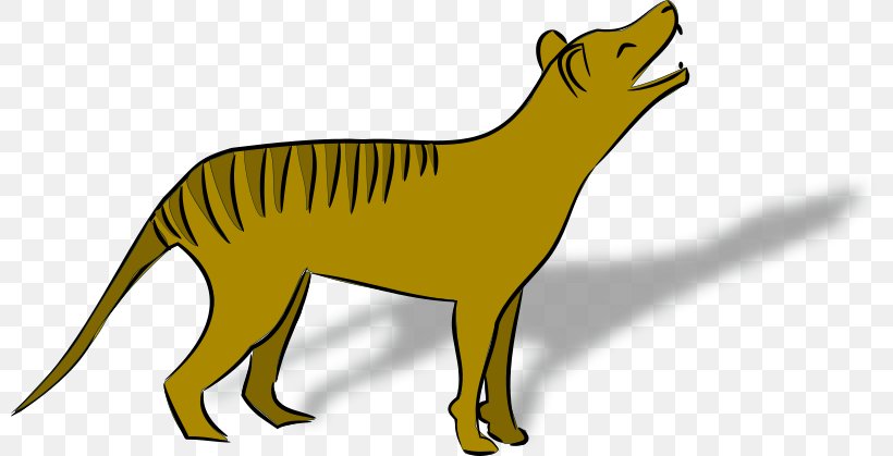 Tasmanian Devil Tiger Gray Wolf Thylacine, PNG, 800x419px, Tasmania, Big Cats, Carnivoran, Cat Like Mammal, Dog Like Mammal Download Free