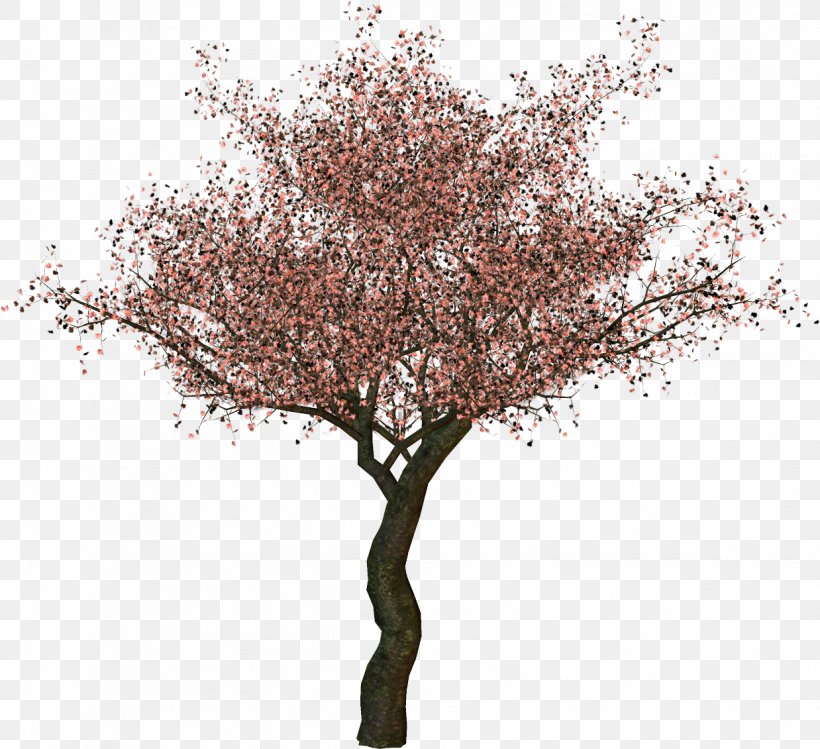 Twig Plum Blossom Tree Clip Art, PNG, 1238x1131px, Twig, Blossom, Branch, Cherry Blossom, Data Download Free
