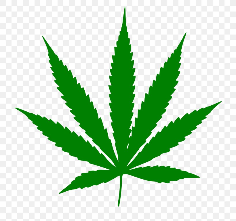 Cannabis Ruderalis Cannabis Sativa Leaf Clip Art, PNG, 720x768px, Cannabis Ruderalis, Cannabinoid, Cannabis, Cannabis Sativa, Cannabis Smoking Download Free
