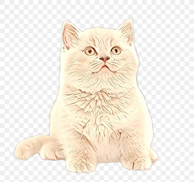 Cat Small To Medium-sized Cats Whiskers British Shorthair Persian, PNG, 2067x1936px, Cat, American Bobtail, Animal Figure, Asian, British Longhair Download Free
