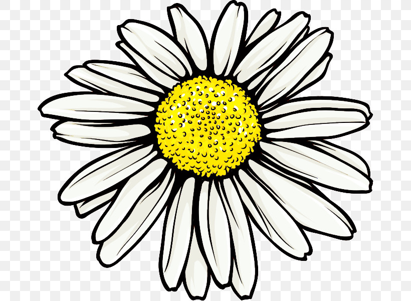 Marguerite Gerbera Daisy, PNG, 671x600px, Marguerite, Abstract Art, Autumn Flower, Black And White, Cartoon Download Free
