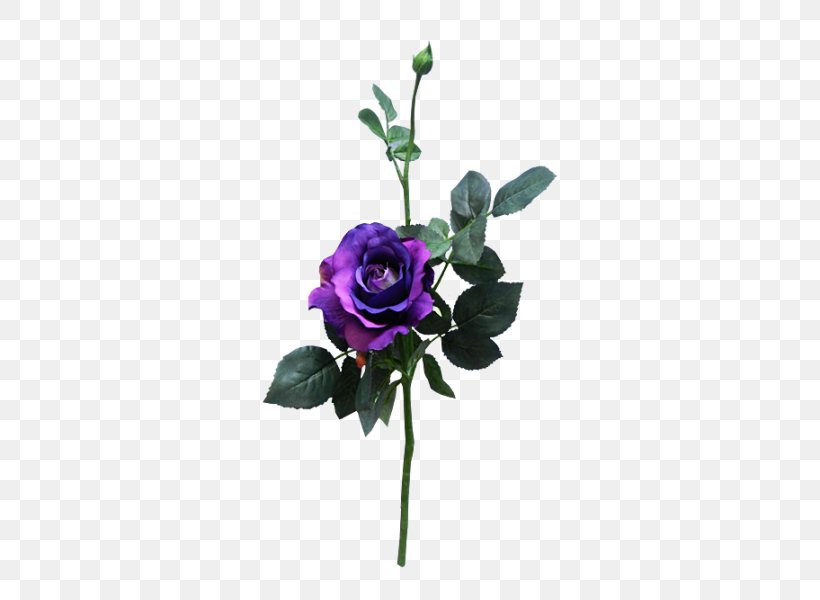 Rose Cut Flowers Purple Flower Bouquet Floral Design, PNG, 800x600px, Rose, Artificial Flower, Cut Flowers, Flora, Floral Design Download Free
