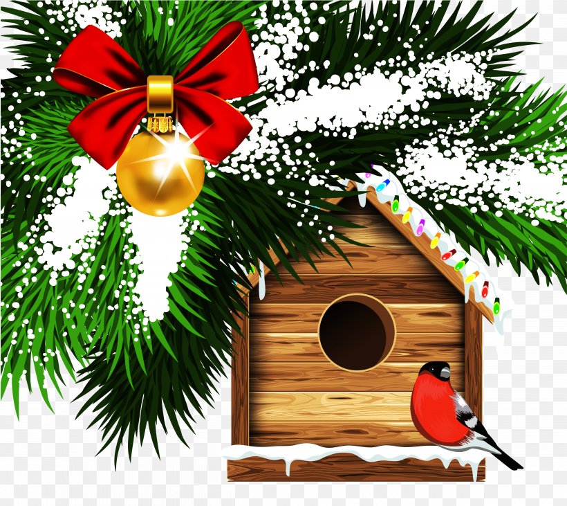 Santa Claus Christmas Card Eurasian Bullfinch Greeting Card, PNG, 5000x4459px, Bird, Borders And Frames, Branch, Christmas, Christmas Card Download Free