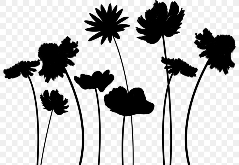 Dandelion Black & White, PNG, 800x566px, Dandelion, Art, Black White M, Blackandwhite, Botany Download Free
