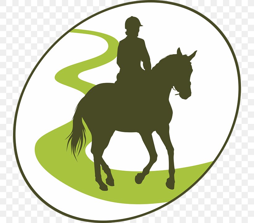 Horse Equestrian AutoCAD DXF Jockey, PNG, 736x720px, Horse, Autocad Dxf, Bridle, Cricut, Crop Download Free