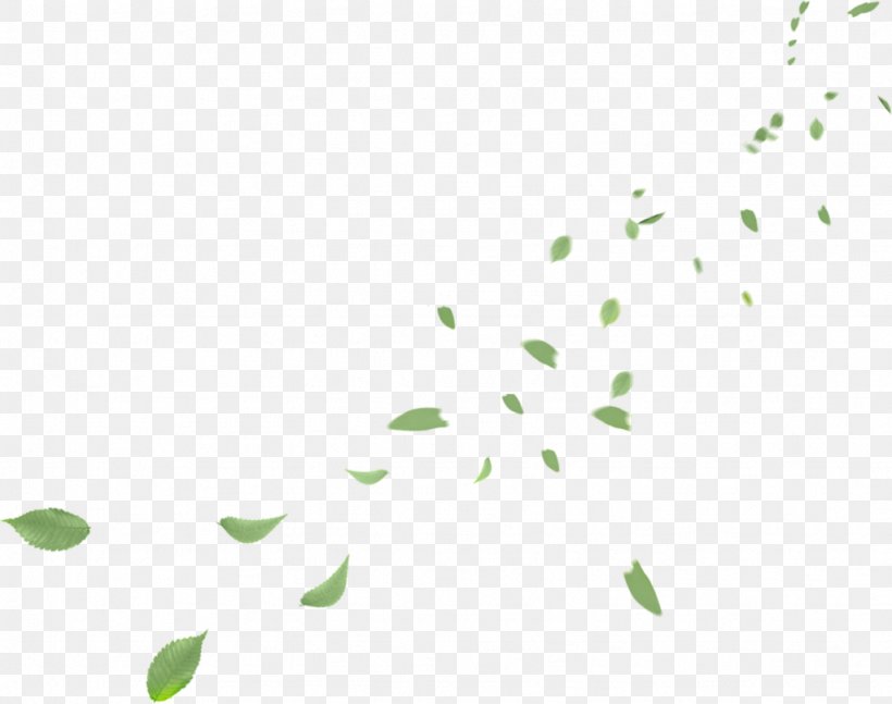 Leaf Petal Clip Art, PNG, 1024x808px, Leaf, Branch, Computer Software, Flora, Flower Download Free