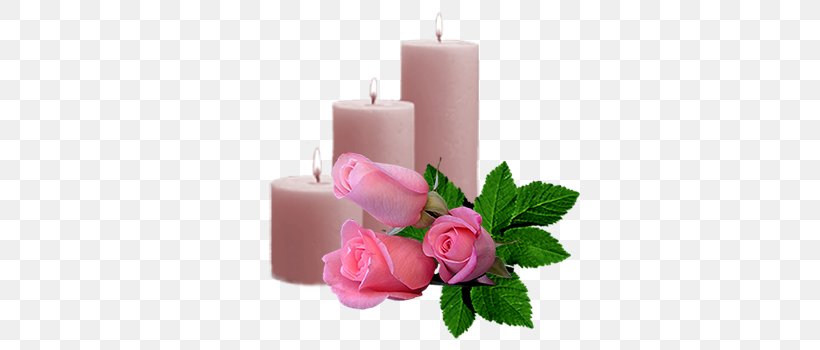 Candle Wax Author Birthday Yandex Search, PNG, 350x350px, Candle, Author, Birthday, Cut Flowers, Flower Download Free