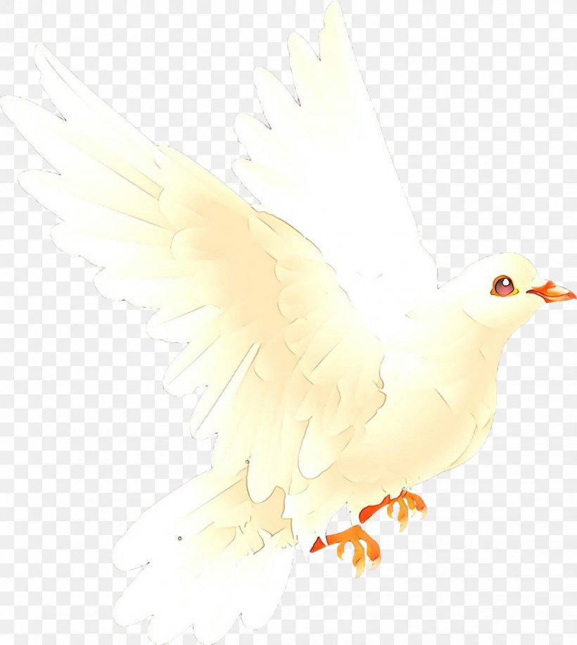 Chicken Cartoon, PNG, 1431x1600px, Beak, Bird, Chicken, Ducks, Feather Download Free