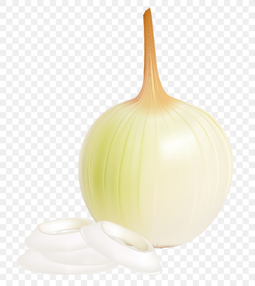 Onion Design Product, PNG, 769x919px, Onion, Food, Ingredient, Produce, Product Design Download Free
