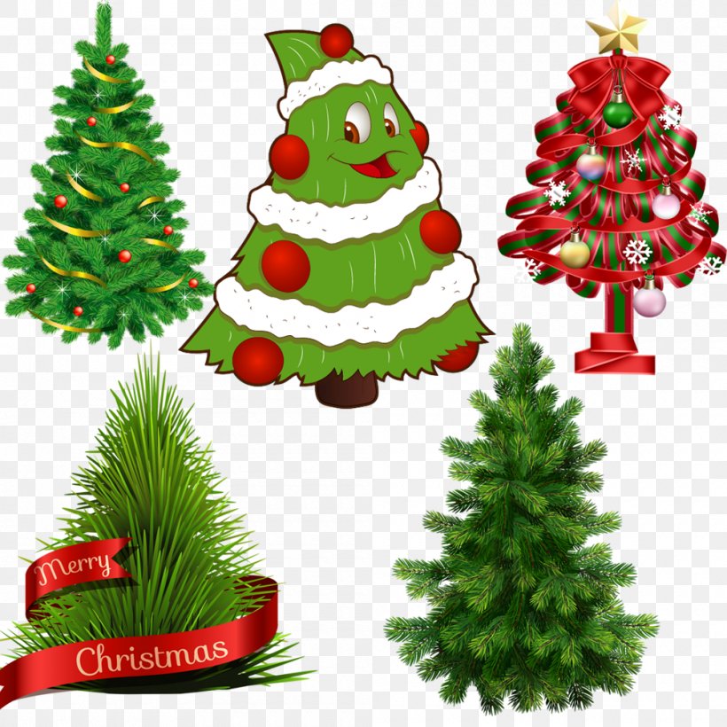 Scots Pine Tree Fir Norfolk Island Pine, PNG, 1000x1000px, Scots Pine, Cedar, Christmas, Christmas Decoration, Christmas Ornament Download Free