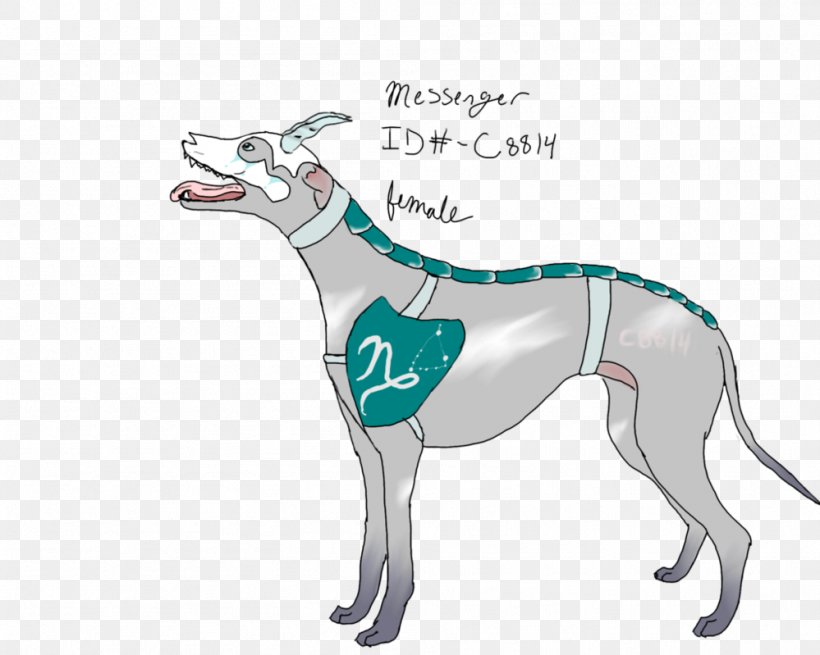 Whippet Italian Greyhound Spanish Greyhound Sloughi, PNG, 999x799px, Whippet, Breed, Carnivoran, Cartoon, Dog Download Free