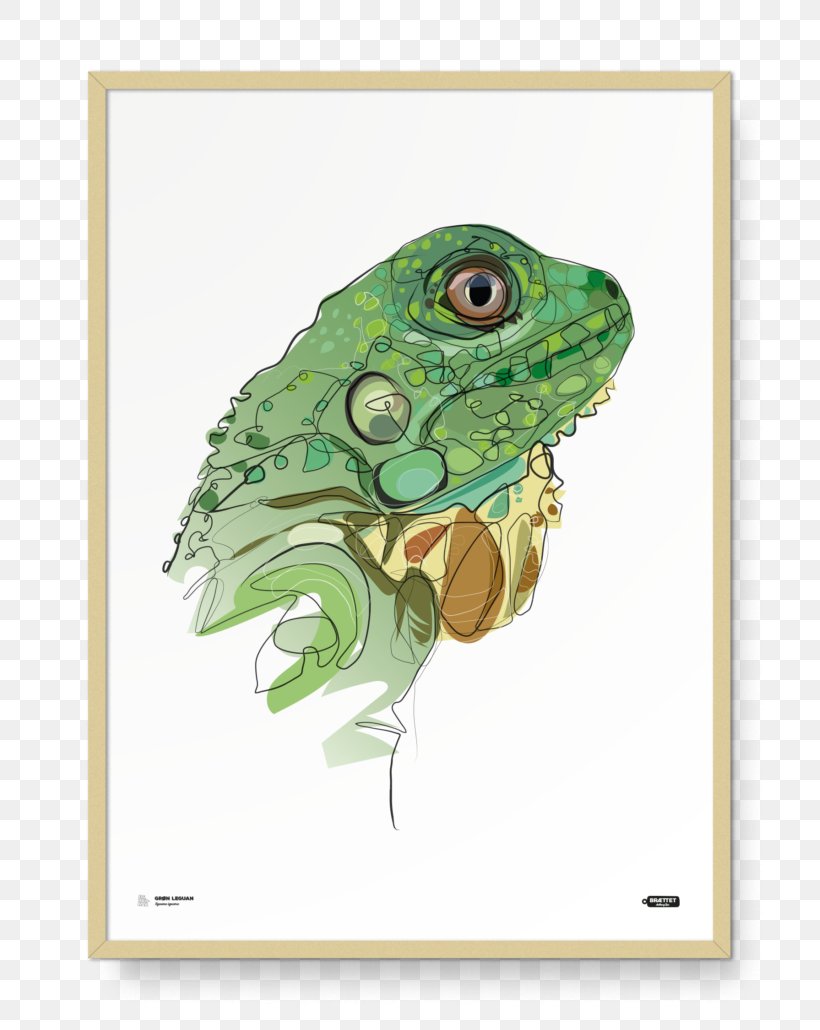Green Iguana Tea Fauna Poster, PNG, 793x1030px, Green Iguana, Common Iguanas, Conversation, Danish Krone, Facial Redness Download Free