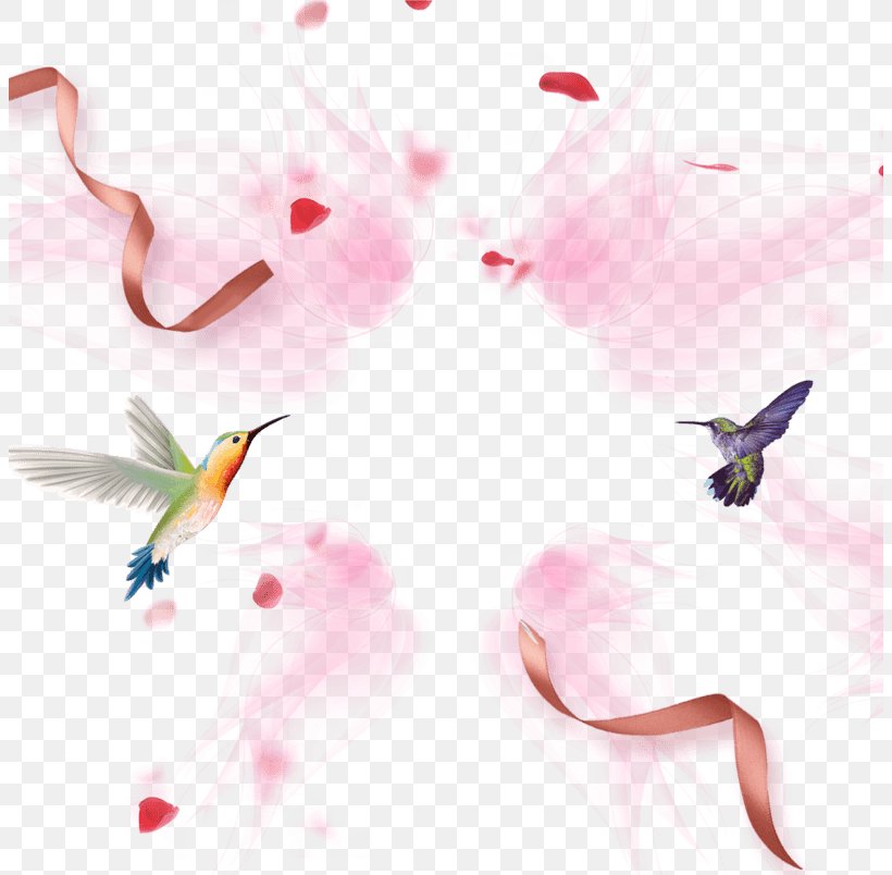 Ribbon Image Pink Desktop Wallpaper, PNG, 804x804px, Ribbon, Bird, Color, Designer, Flower Download Free
