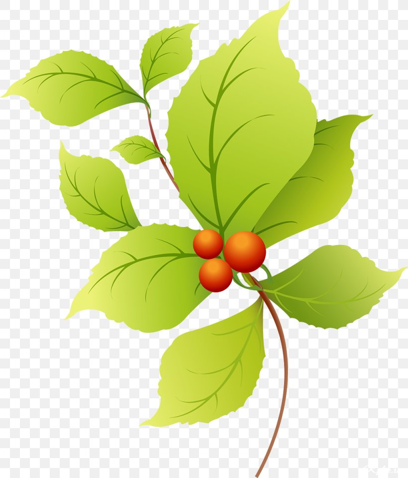 Leaf Collage Clip Art, PNG, 1024x1200px, Leaf, Branch, Cherry, Collage, Flowering Plant Download Free