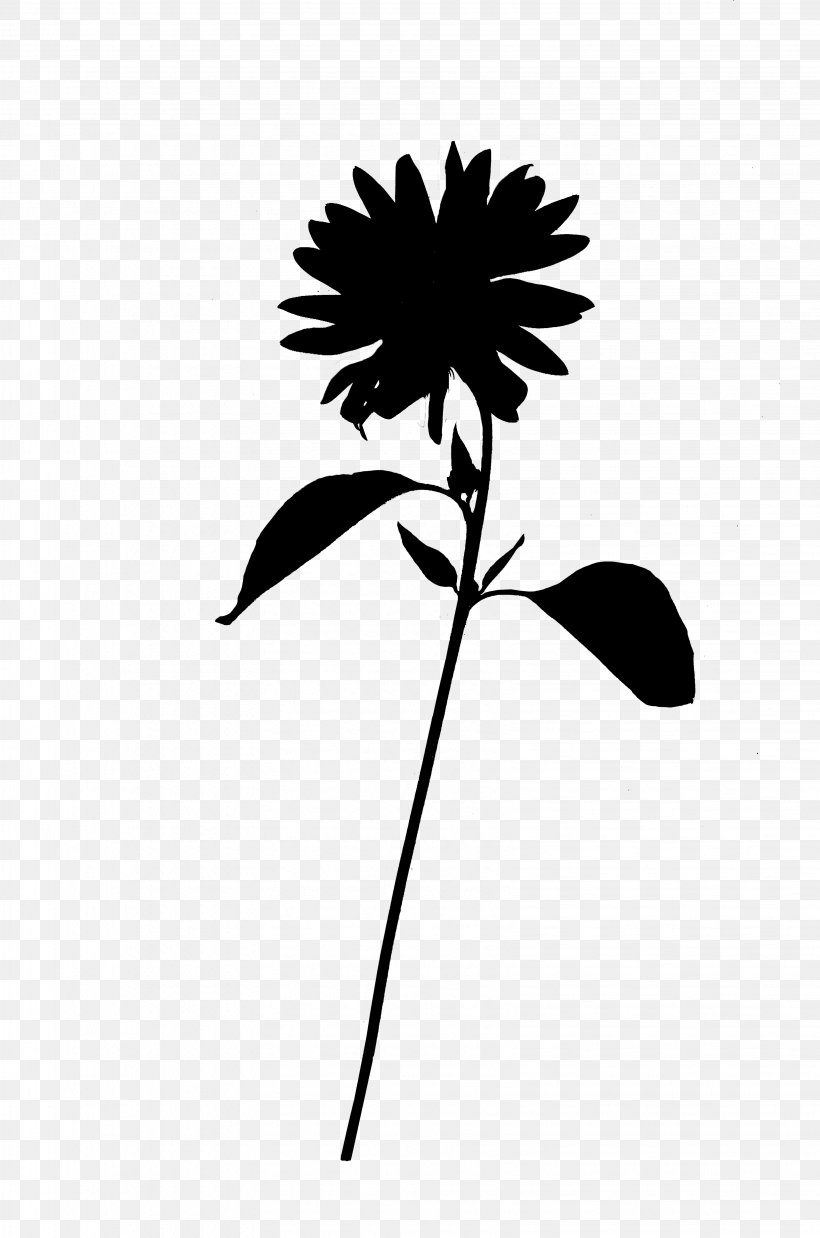 Leaf Plant Stem Arecales Line Silhouette, PNG, 3264x4928px, Leaf, Arecales, Blackandwhite, Botany, Branching Download Free