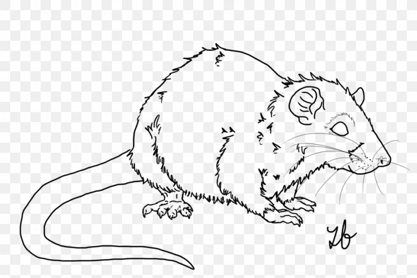 Rat Line Art Cat Whiskers Mouse, PNG, 1024x683px, Watercolor, Cartoon, Flower, Frame, Heart Download Free