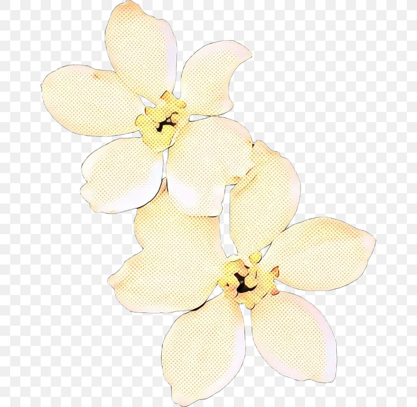 Cut Flowers Hair Tie Moth Orchids Petal, PNG, 661x800px, Cut Flowers, Beige, Cattleya, Fashion Accessory, Flower Download Free