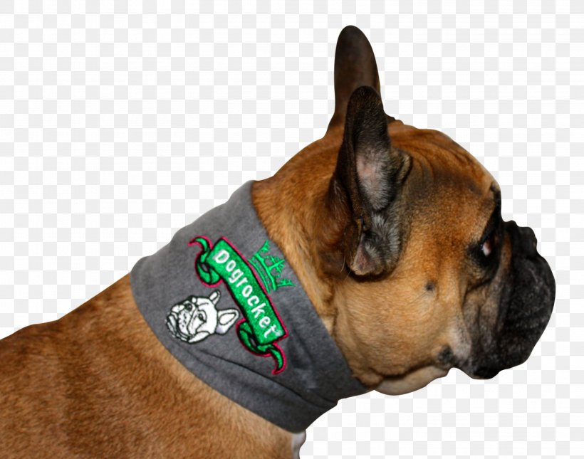 Dog Breed Boxer Dog Collar Dogrocket Snout, PNG, 2926x2304px, Dog Breed, Boxer, Breed, Collar, Dog Download Free