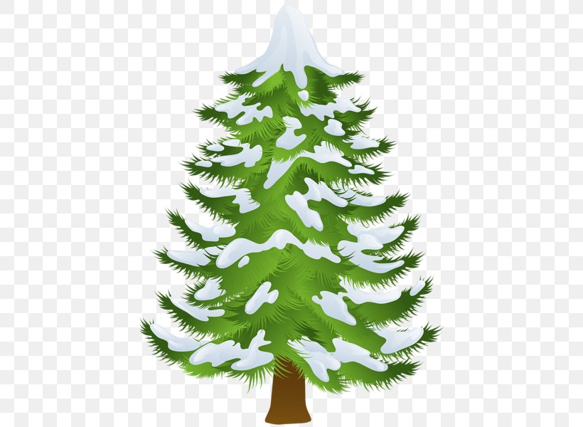 Pine Tree Winter Fir Clip Art, PNG, 437x600px, Pine, Branch, Christmas Decoration, Christmas Ornament, Christmas Tree Download Free