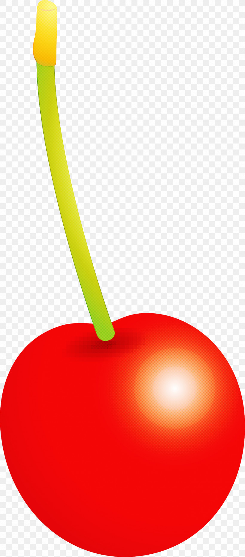 Cherry, PNG, 1320x3000px, Cherry, Drupe, Fruit, Plant Download Free