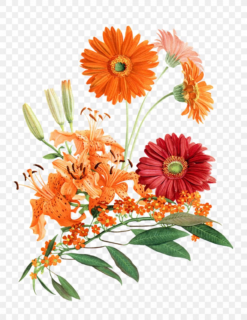 Cut Flowers Floral Design Floristry Plant, PNG, 1237x1600px, Flower, Botany, Bra, Calendula, Chrysanthemum Download Free