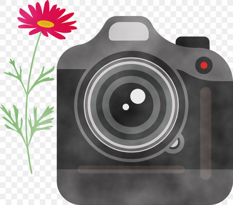 Floral Design, PNG, 3000x2636px, Camera, Annual Plant, Anthemis Cotula, Argyranthemum, Chrysanthemum Download Free