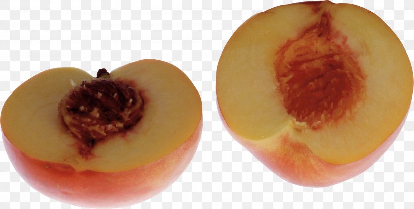 Fruit Nectarine, PNG, 2990x1510px, Nectarine, Apricot, Auglis, Computer Software, Food Download Free