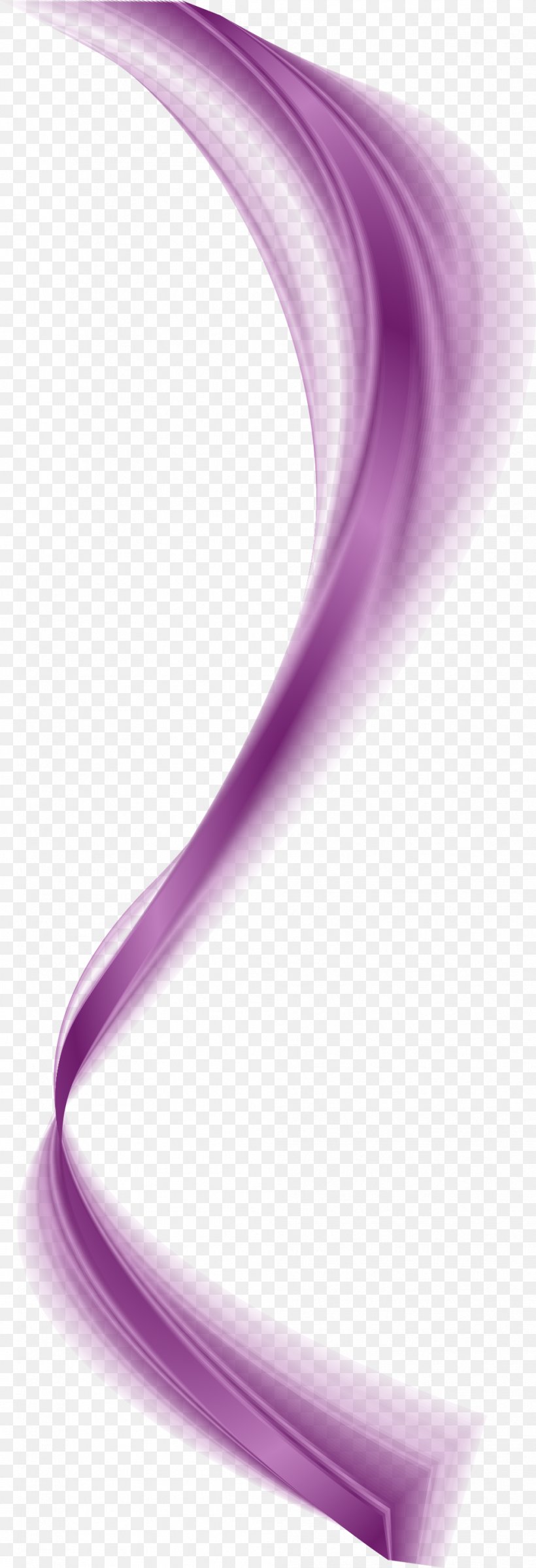 Light Violet Purple Lilac, PNG, 991x2899px, Light, Close Up, Color, Curve, Drawing Download Free