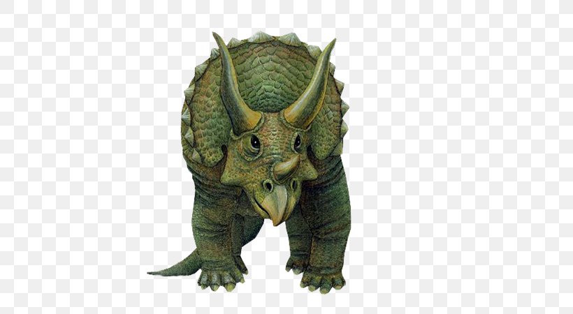 Triceratops Wall Decal Dinosaur Tyrannosaurus, PNG, 600x450px, Triceratops, Ceratopsians, Cretaceous, Decal, Dinosaur Download Free