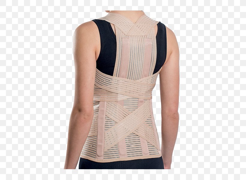 Corset T-shirt Orthotics Human Back Vertebral Column, PNG, 600x600px, Watercolor, Cartoon, Flower, Frame, Heart Download Free