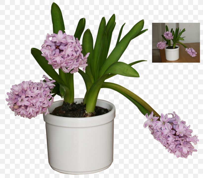 Flowerpot DeviantArt Floral Design, PNG, 1024x896px, Flowerpot, Art, Art Museum, Chelsea Flower Show, Cut Flowers Download Free