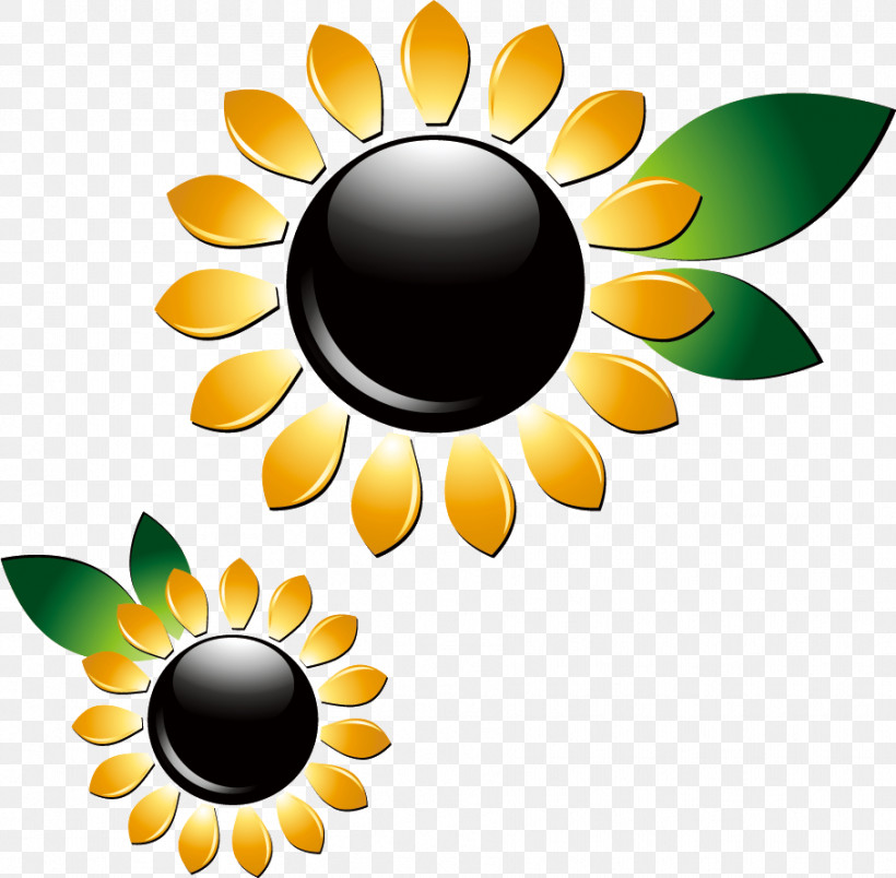Sunflower Summer Flower, PNG, 908x891px, Sunflower, Cereal Germ, Lallah Rookh, Logo, Lumos Energy Download Free