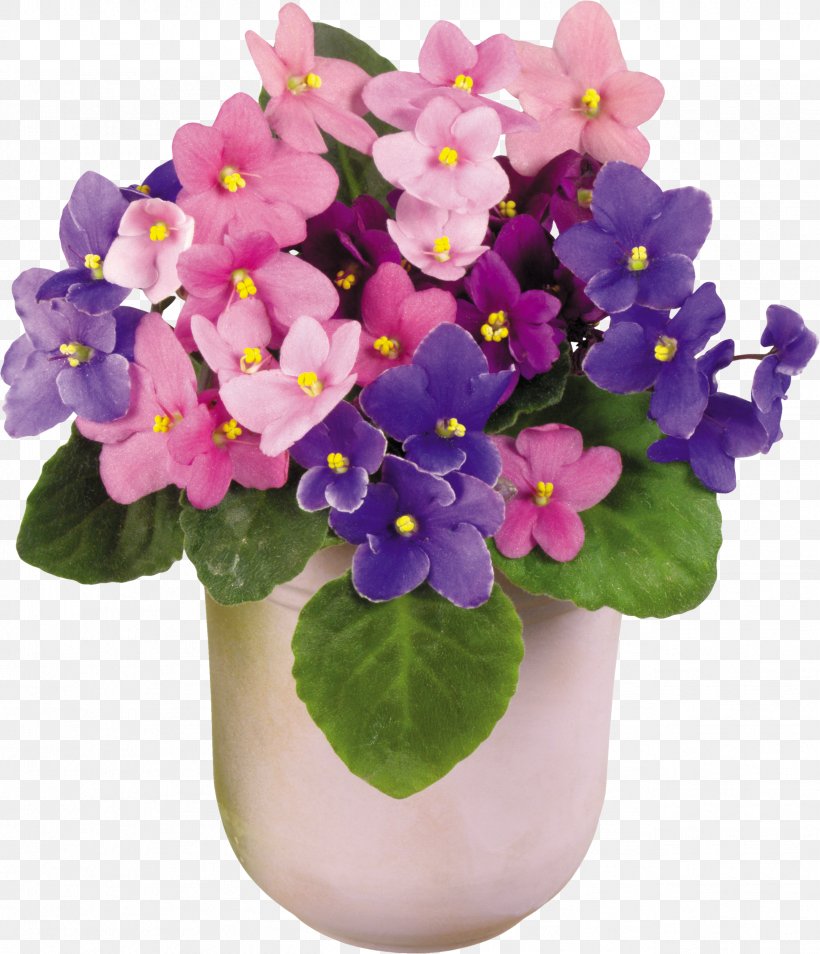 Viola Tricolor African Violets Houseplant Vase Flower, PNG, 2577x3000px, Viola Tricolor, African Violets, Flower, Flowering Plant, Flowerpot Download Free