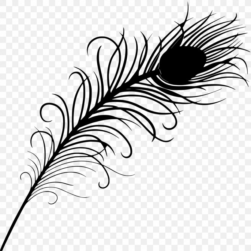 Feather Drawing Peacock Feathers, PNG, 1024x1024px, Peafowl, Autocad Dxf, Blackandwhite, Fashion Accessory, Feather Download Free
