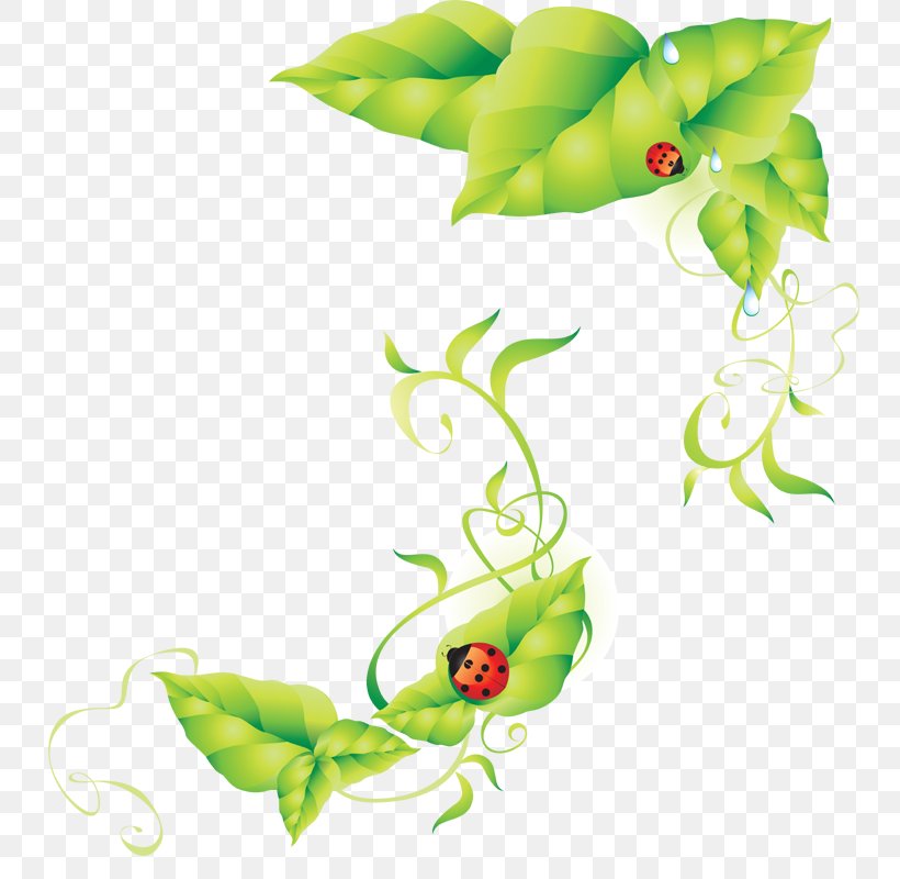 Ladybird, PNG, 769x800px, Ladybird, Branch, Flora, Floral Design, Flower Download Free