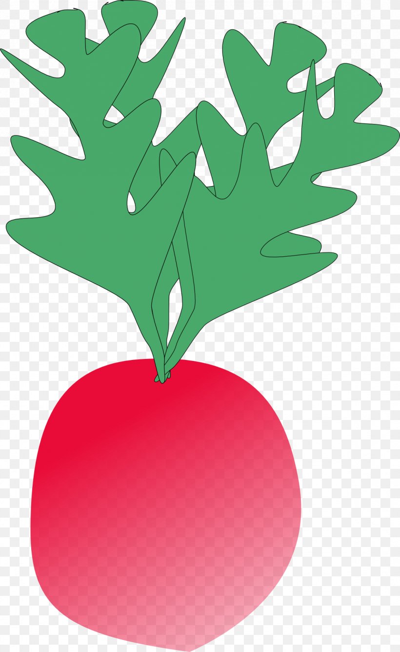 Radish Turnip Clip Art, PNG, 1179x1920px, Radish, Beetroot, Branch, Chinese Cabbage, Food Download Free