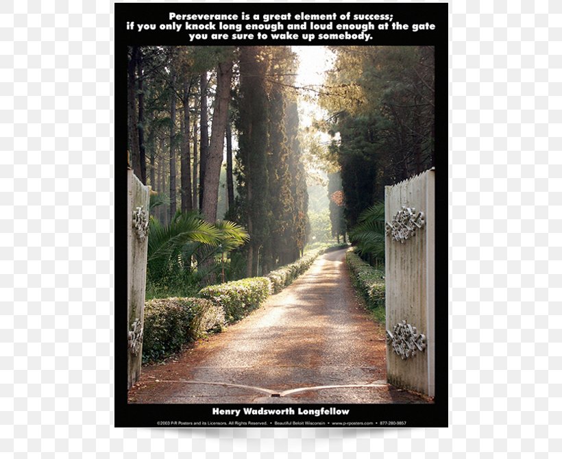 Cassidy Funeral Home Cemetery Health Pelgrimsgebed, PNG, 650x670px, Cassidy Funeral Home, Adrenal Gland, Cemetery, Cognitive Behavioral Therapy, Flora Download Free