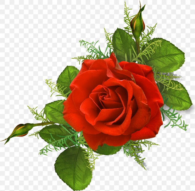 Rose Pink Image Illustration Red, PNG, 1200x1177px, Rose, Cut Flowers, Floral Design, Floribunda, Floristry Download Free