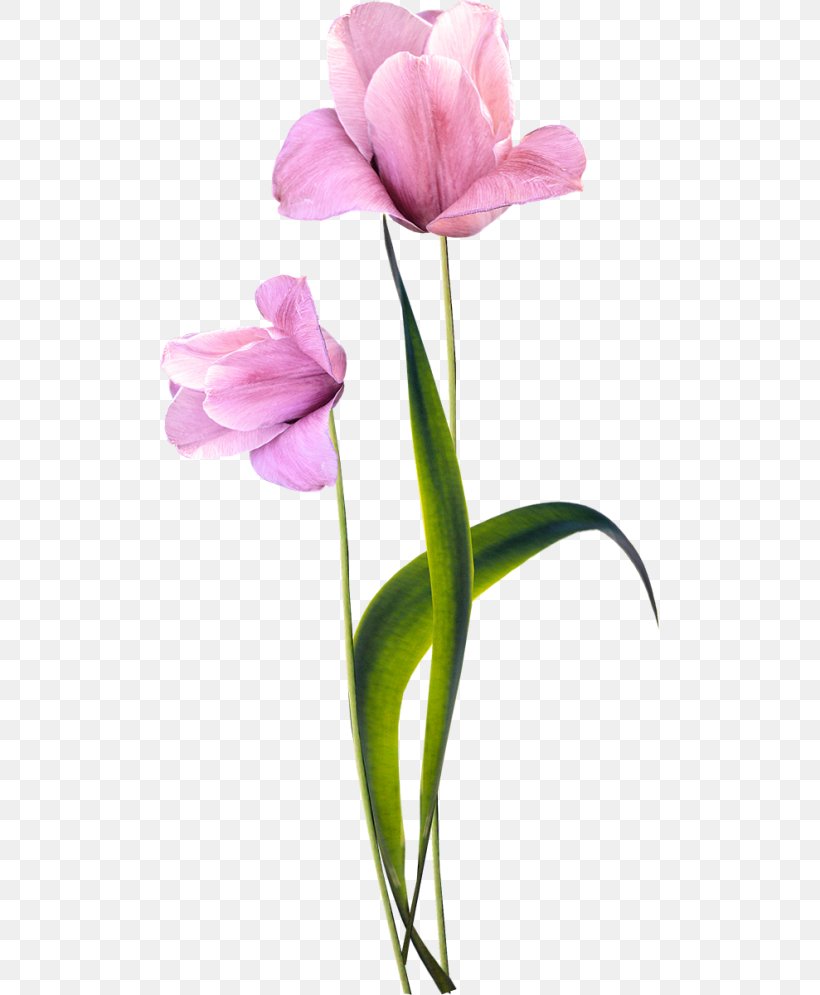 Artificial Flower Tulip Floral Design Flower Bouquet, PNG, 500x995px, Flower, Artificial Flower, Bud, Cut Flowers, Drawing Download Free