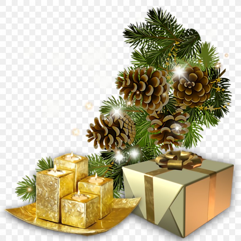 Christmas Gift New Year Gift Gift, PNG, 1000x1000px, Christmas Gift, Christmas Decoration, Christmas Tree, Colorado Spruce, Conifer Download Free