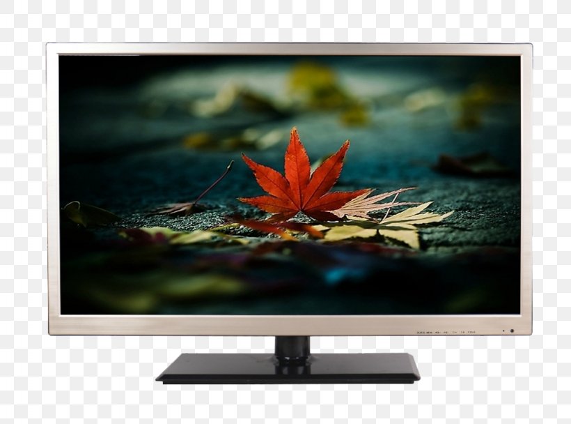 LCD Television Liquid-crystal Display Television Set Computer Monitor LED-backlit LCD, PNG, 1024x760px, 4k Resolution, Lcd Television, Backlight, Computer Monitor, Display Device Download Free