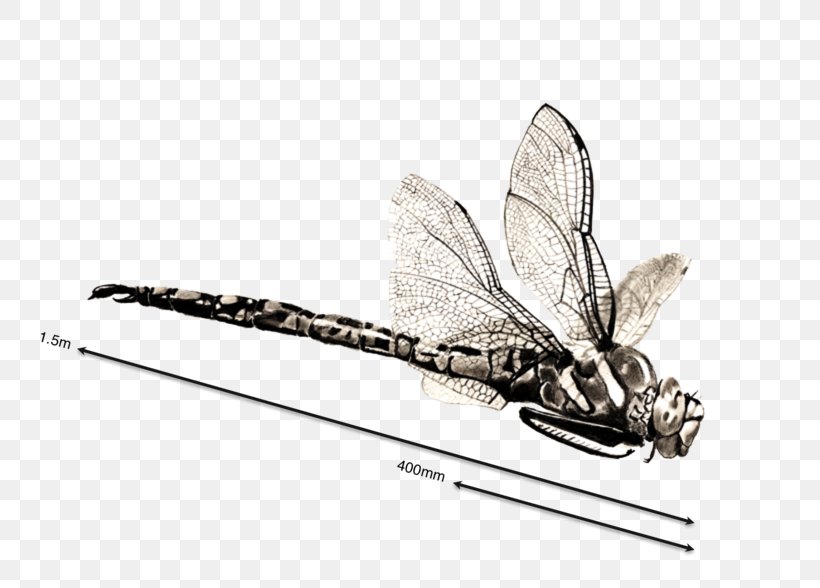 Pencil Cartoon, PNG, 800x588px, Drawing, Architect, Architecture, Art, Dragonflies And Damseflies Download Free
