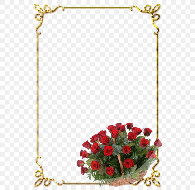 Picture Frame Garden Roses Jubileum Birthday Light, PNG, 560x800px, Picture Frame, Birthday, Cut Flowers, Drawing, Film Frame Download Free
